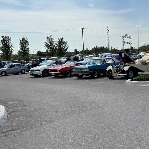 Vintage cars at Ward 4 community car show